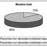 Figura 1. Representación de la muestra total. Se destaca el porcentaje depacientes con baja densidad de células endoteliales de la córnea e indicaciónde cirugía de catarata.