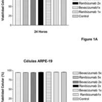 Estudio Comparativo In-Vitro de la Seguridad de las Drogas Antiangiogénicas (Bevacizumab y Ranibizumab) en Células Retinales
