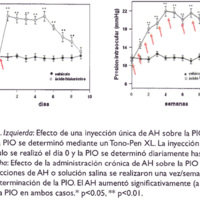 Estudio del efecto terapéutico de la melatonina en un modelo de glaucoma experimental en ratas: conferencia de la Asociación de lnvestigación en Visión y Oftalmología 2008