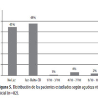 Figura 5. Distribución de los pacientes estudiados según agudeza visual inicial (n=82).